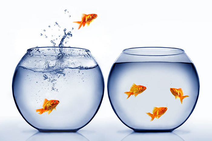 Build a more resilient culture
